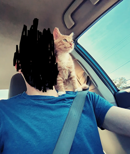 Cheezburger Image 10612025344