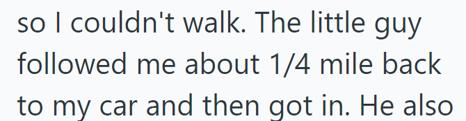 so I couldn't walk. The little guy followed me about 1/4 mile back to my car and then got in. He also