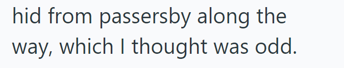 hid from passersby along the way, which I thought was odd.