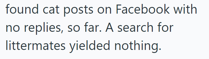 found cat posts on Facebook with no replies, so far. A search for littermates yielded nothing.