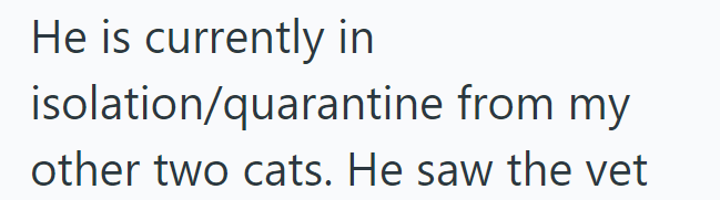 He is currently in isolation/quarantine from my other two cats. He saw the vet