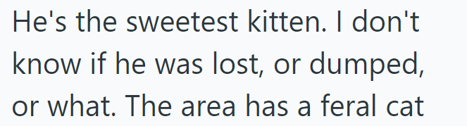 He's the sweetest kitten. I don't know if he was lost, or dumped, or what. The area has a feral cat