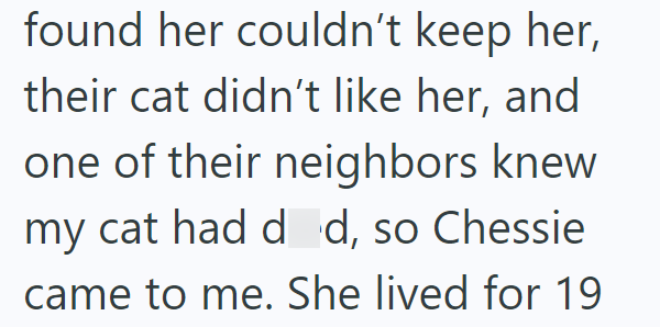 found her couldn't keep her, their cat didn't like her, and one of their neighbors knew my cat had dd, so Chessie I came to me. She lived for 19