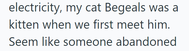 electricity, my cat Begeals was a kitten when we first meet him. Seem like someone abandoned