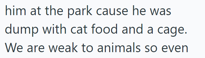 him at the park cause he was dump with cat food and a cage. We are weak to animals so even