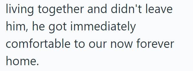 living together and didn't leave him, he got immediately comfortable to our now forever home.