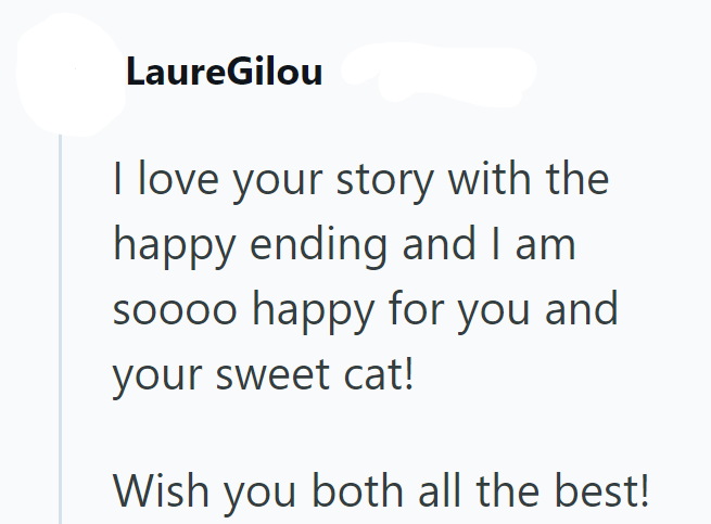 LaureGilou I love your story with the happy ending and I am soooo happy for you and your sweet cat! Wish you both all the best!