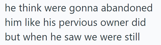 he think were gonna abandoned him like his pervious owner did but when he saw we were still