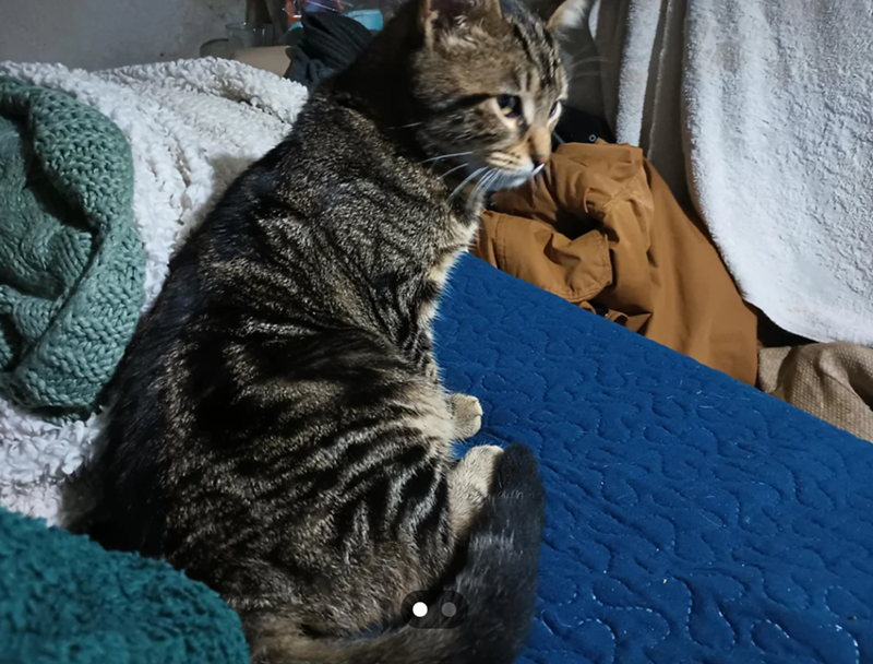 Cheezburger Image 10612035328