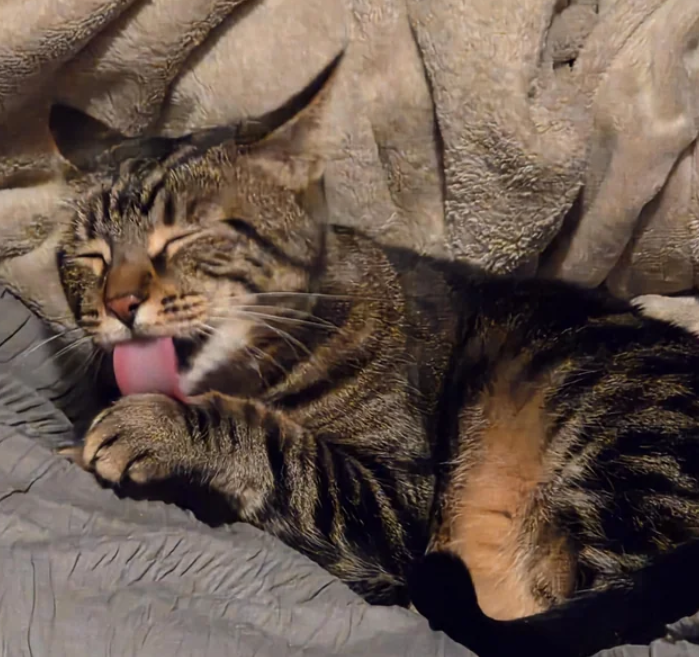 Cheezburger Image 10612035840