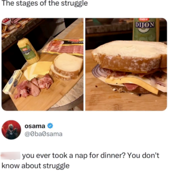 The stages of the struggle BIOS DIJON osama @0ba0sama you ever took a nap for dinner? You don't know about struggle