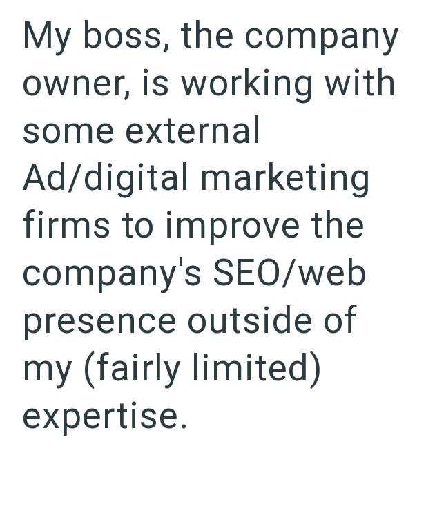 My boss, the company owner, is working with some external Ad/digital marketing firms to improve the company's SEO/web presence outside of my (fairly limited) expertise.