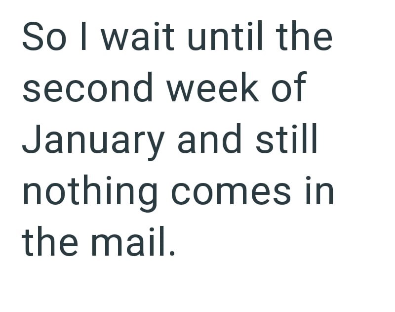 So I wait until the second week of January and still nothing comes in the mail.