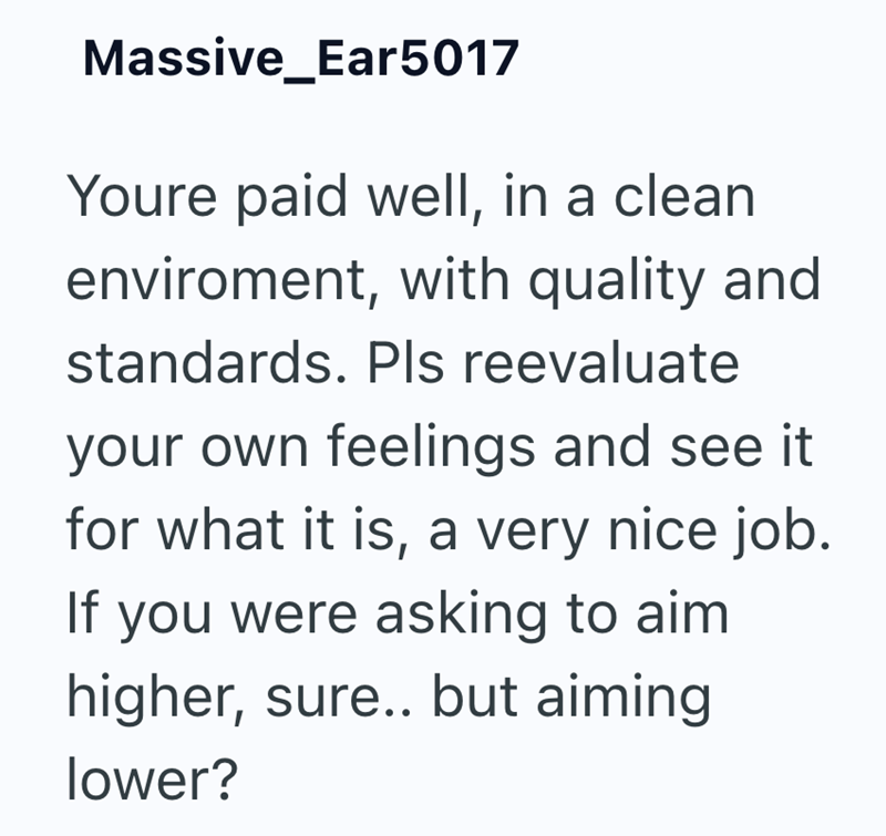 Massive Ear5017 Youre paid well, in a clean enviroment, with quality and standards. Pls reevaluate your own feelings and see it for what it is, a very nice job. If you were asking to aim higher, sure.. but aiming lower?