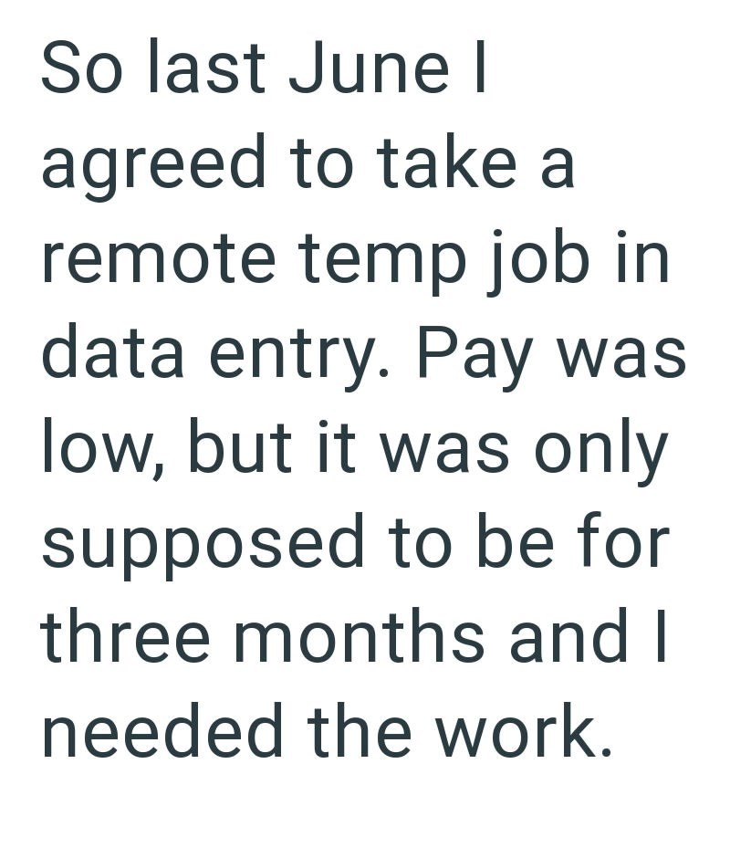 So last June I agreed to take a remote temp job in data entry. Pay was low, but it was only supposed to be for three months and I needed the work.
