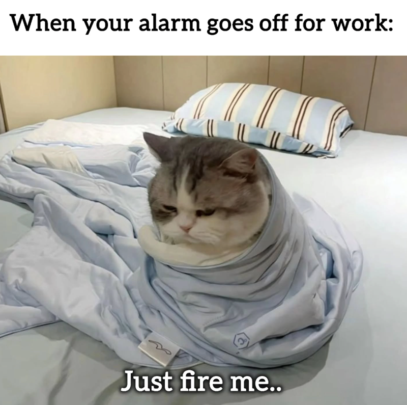 When your alarm goes off for work: Just fire me..