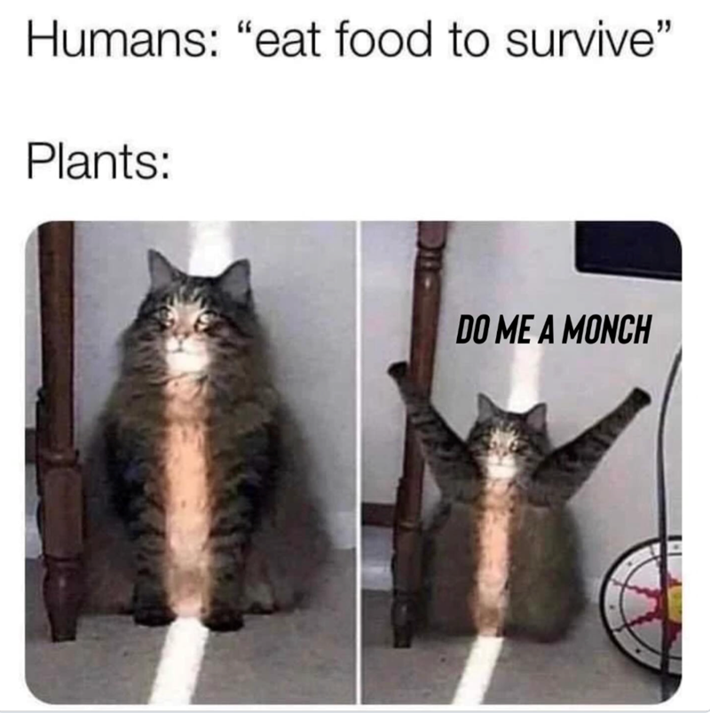 Humans: "eat food to survive" Plants: DO ME A MONCH