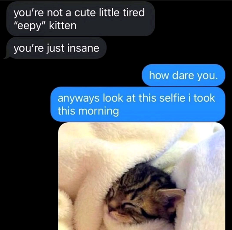 you're not a cute little tired "eepy" kitten you're just insane how dare you. anyways look at this selfie i took this morning