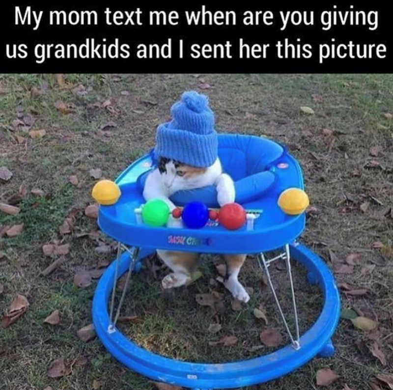 My mom text me when are you giving us grandkids and I sent her this picture MSU CH