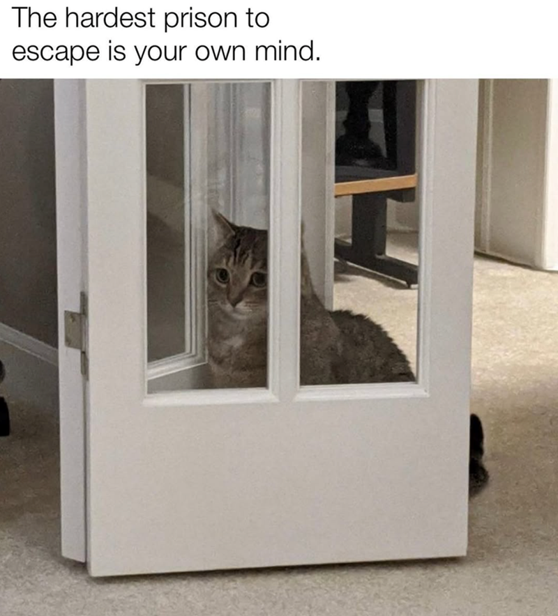The hardest prison to escape is your own mind.