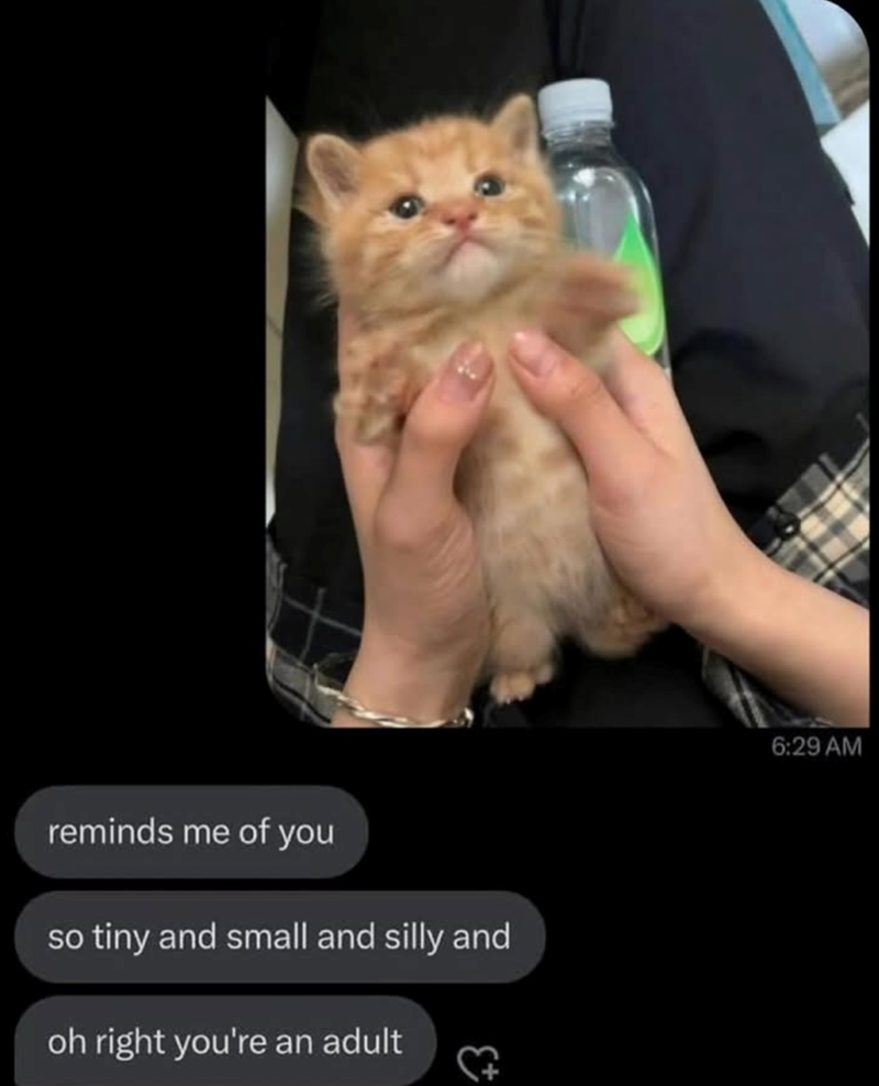 reminds me of you so tiny and small and silly and oh right you're an adult 6:29 AM