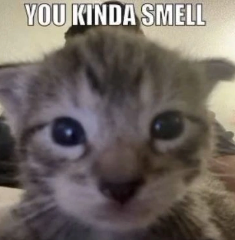 YOU KINDA SMELL
