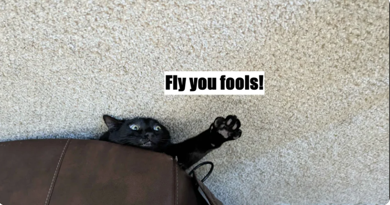 Fly you fools!