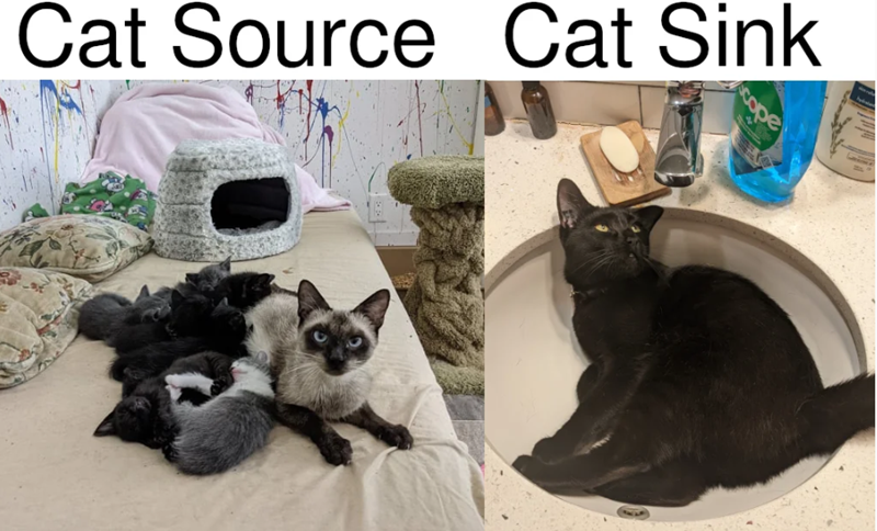 cope Cat Source Cat Sink