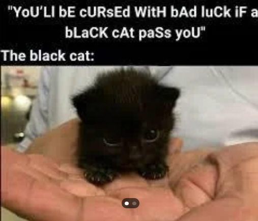 "YOU'LI DE CURSED With bad luck iF a black cat pass you" The black cat: