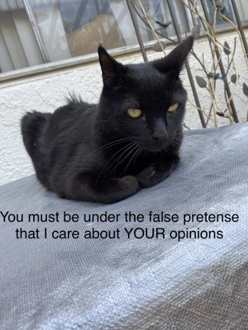 You must be under the false pretense that I care about YOUR opinions