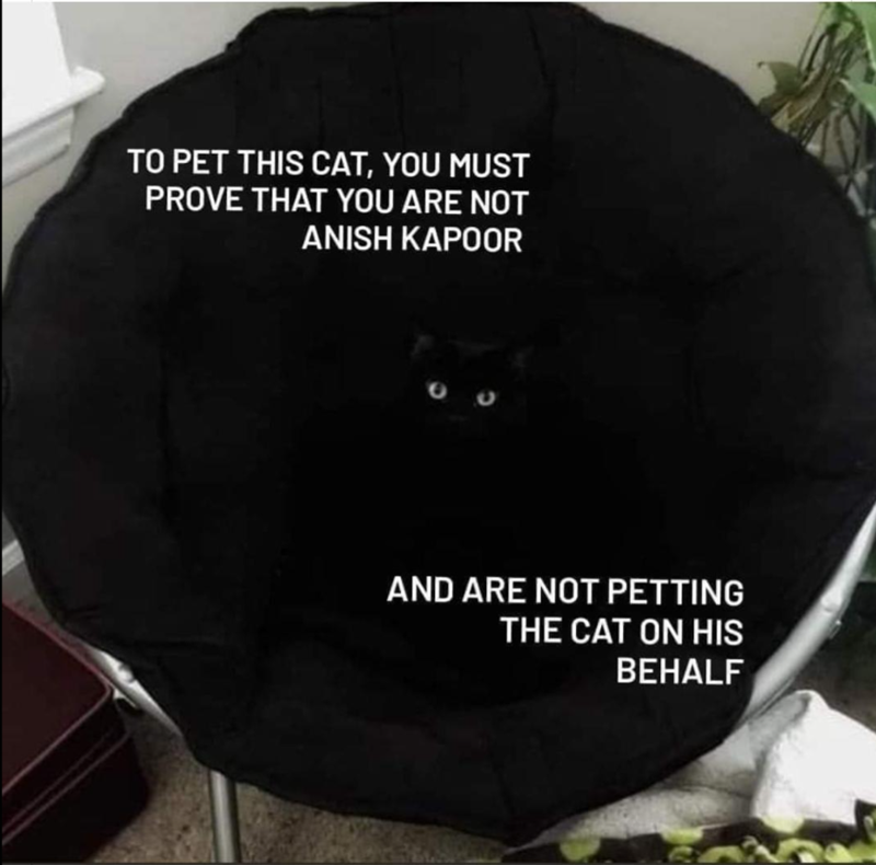 TO PET THIS CAT, YOU MUST PROVE THAT YOU ARE NOT ANISH KAPOOR AND ARE NOT PETTING THE CAT ON HIS BEHALF
