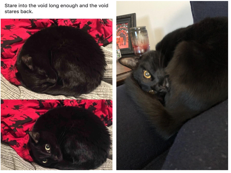 Stare into the void long enough and the void stares back.