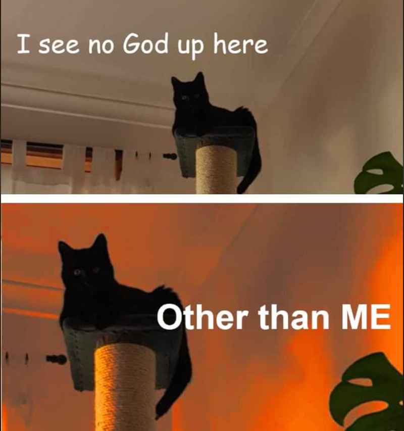 I see no God up here Other than ME