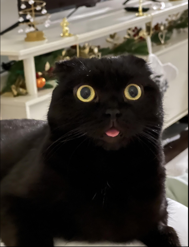 Cheezburger Image 10612126976