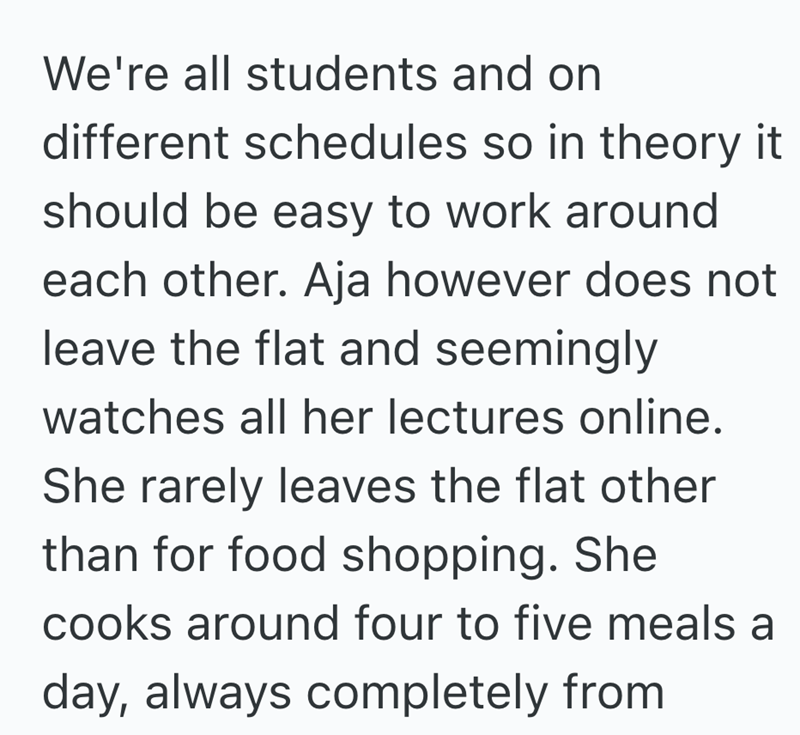 We're all students and on different schedules so in theory it should be easy to work around each other. Aja however does not leave the flat and seemingly watches all her lectures online. She rarely leaves the flat other than for food shopping. She cooks around four to five meals a day, always completely from