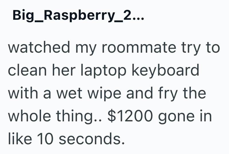 Big_Raspberry_2... watched my roommate try to clean her laptop keyboard with a wet wipe and fry the whole thing.. $1200 gone in like 10 seconds.