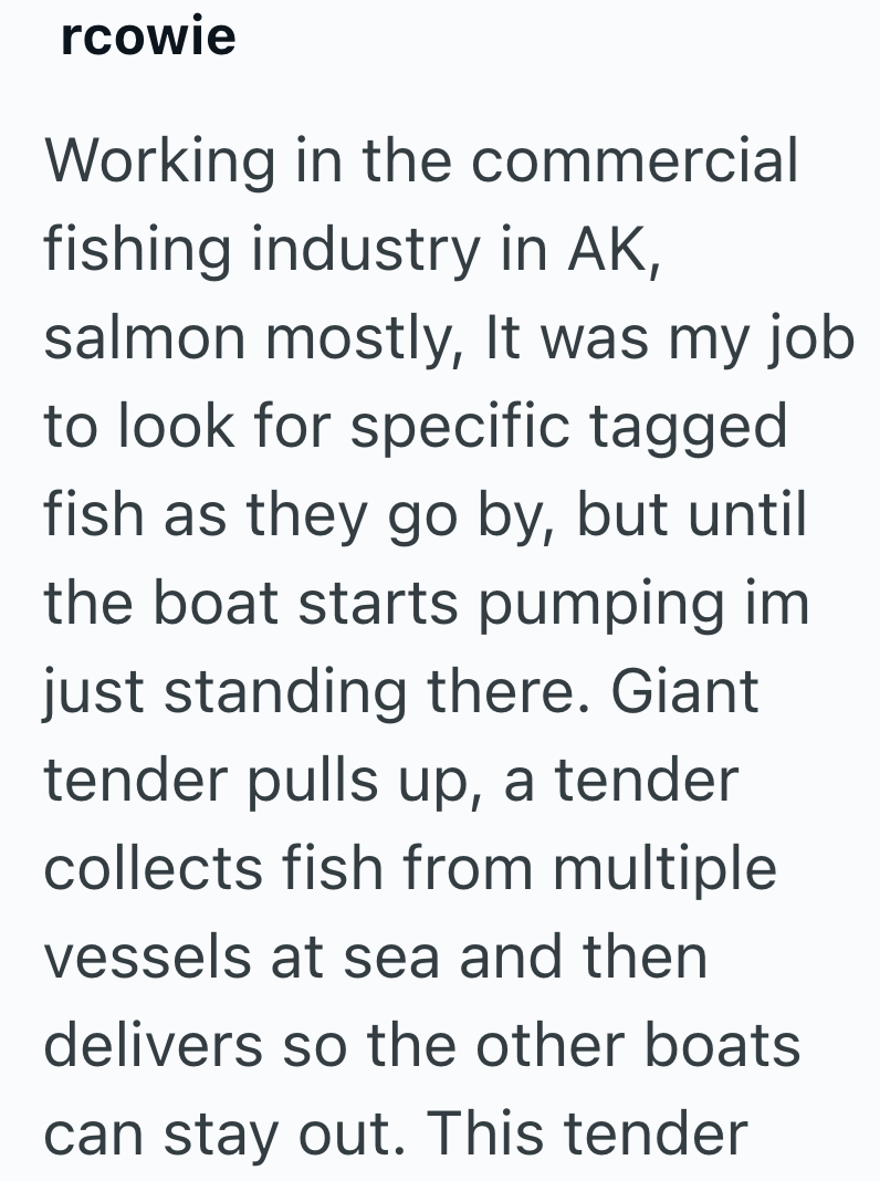 Cheezburger Image 10612146944