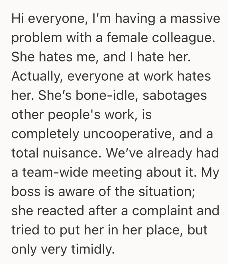 Hi everyone, I'm having a massive problem with a female colleague. She hates me, and I hate her. Actually, everyone at work hates her. She's bone-idle, sabotages other people's work, is completely uncooperative, and a total nuisance. We've already had a team-wide meeting about it. My boss is aware of the situation; she reacted after a complaint and tried to put her in her place, but only very timidly.