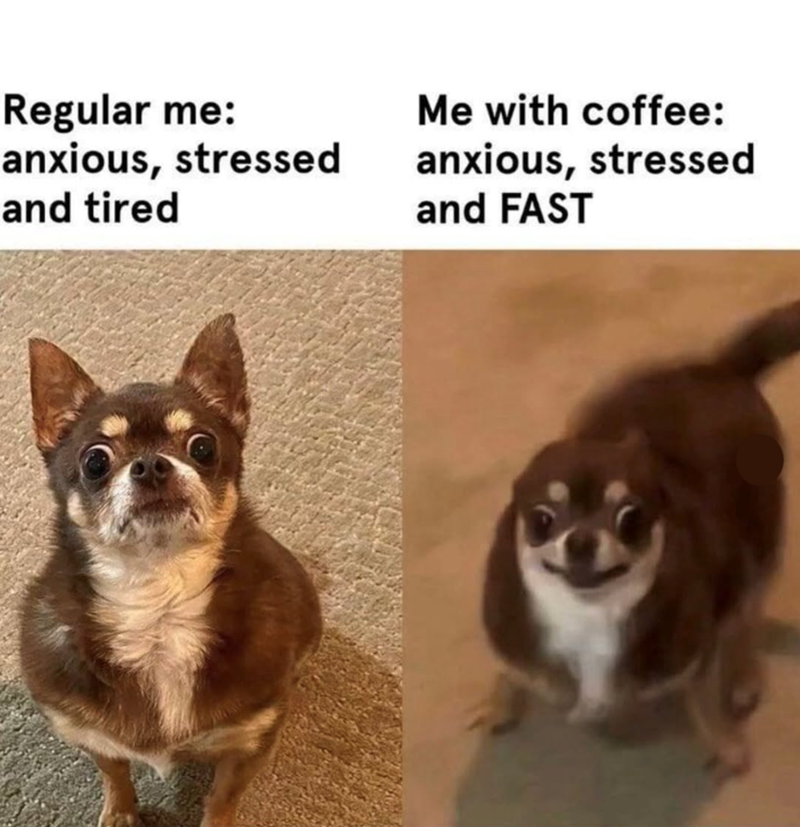 Regular me: anxious, stressed and tired Me with coffee: anxious, stressed and FAST