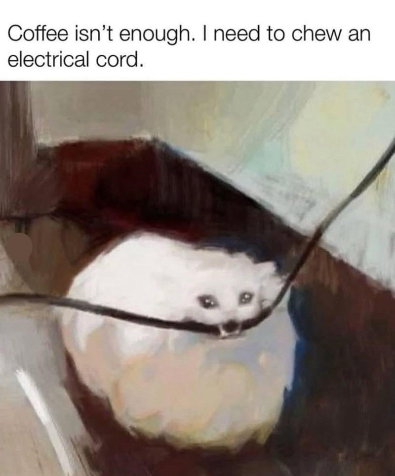 Coffee isn't enough. I need to chew an electrical cord.