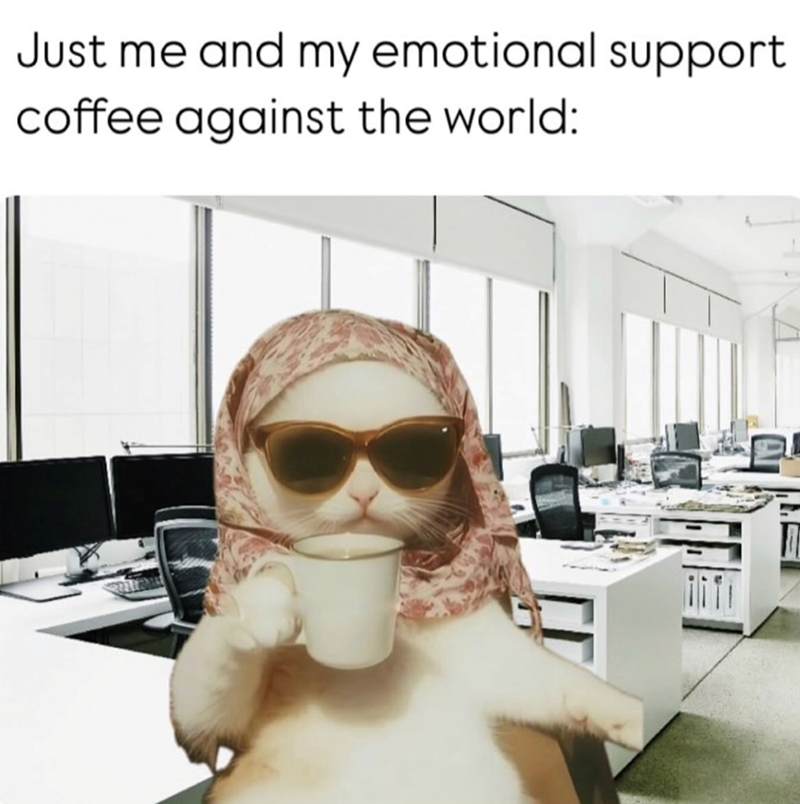 Just me and my emotional support coffee against the world: