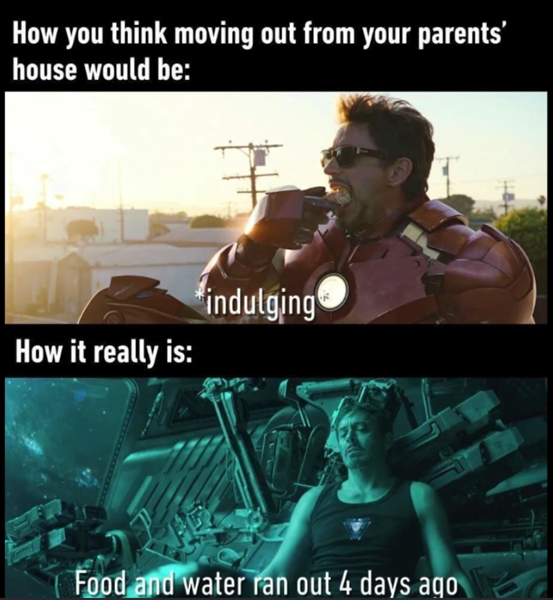 How you think moving out from your parents' house would be: How it really is: indulging Food and water ran out 4 days ago