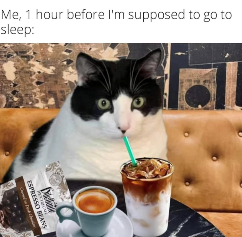 Me, 1 hour before I'm supposed to go to sleep: Covered in Dark Chocolate ESPRESSO BEANS MOCHA CAFE Dilettante