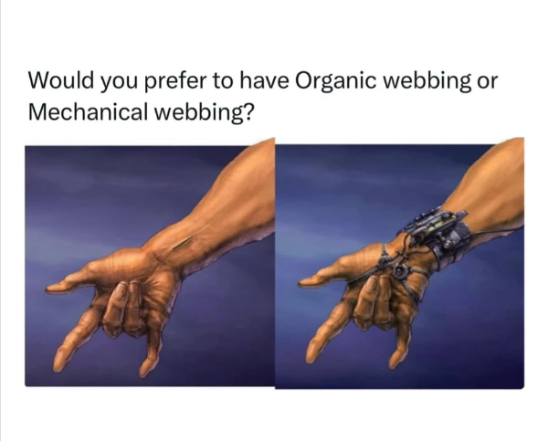 Would you prefer to have Organic webbing or Mechanical webbing?