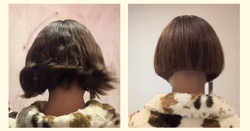 Cheezburger Image 10612201984