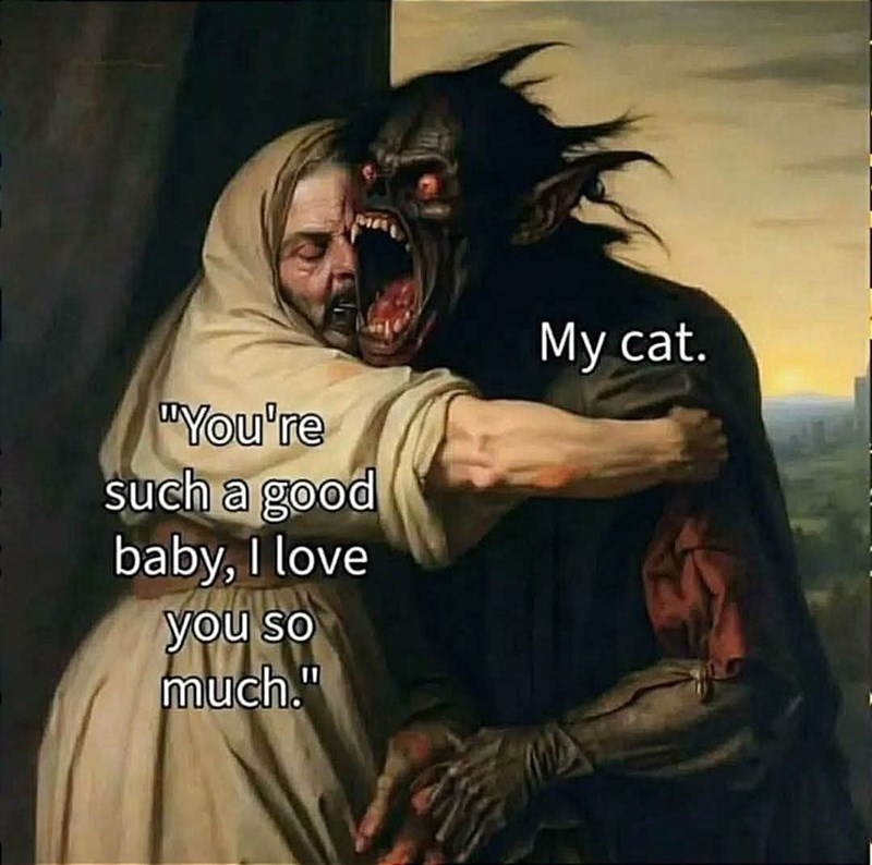 "You're such a good baby, I love you so much." My cat.