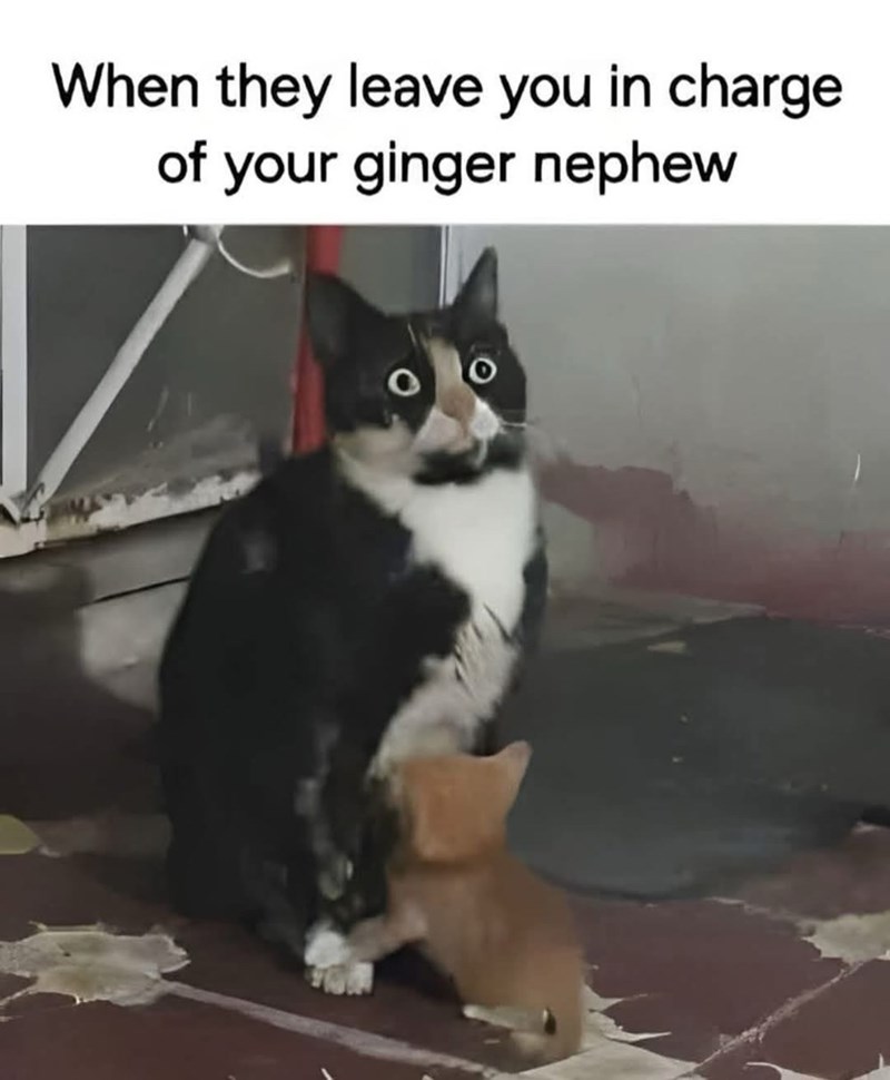 When they leave you in charge of your ginger nephew