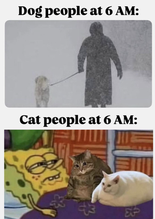 Dog people at 6 AM: Cat people at 6 AM: