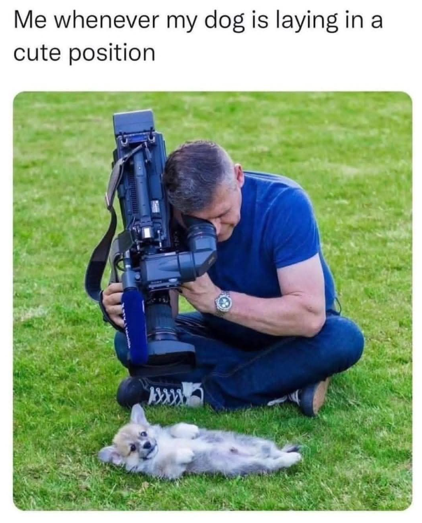 Me whenever my dog is laying in a cute position