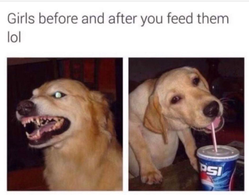 Girls before and after you feed them lol PSI